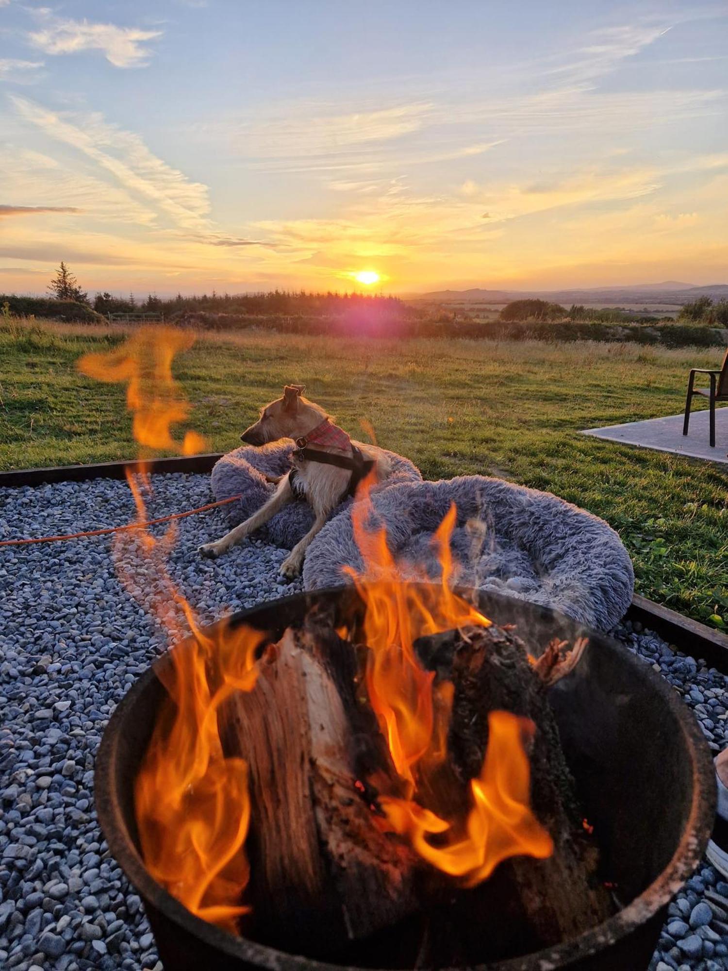 Forth Mountain Glamping Ballintlea Екстериор снимка